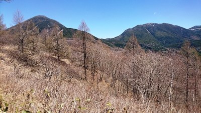 ⑨蓼科山、北横岳　　稜線から.jpg